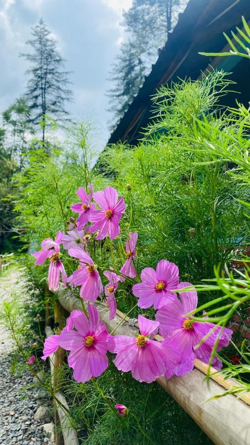 Himtrek Riverside Camps, Kasol Extérieur photo