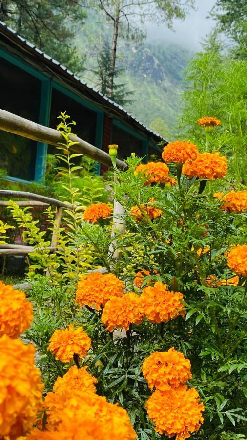 Himtrek Riverside Camps, Kasol Extérieur photo