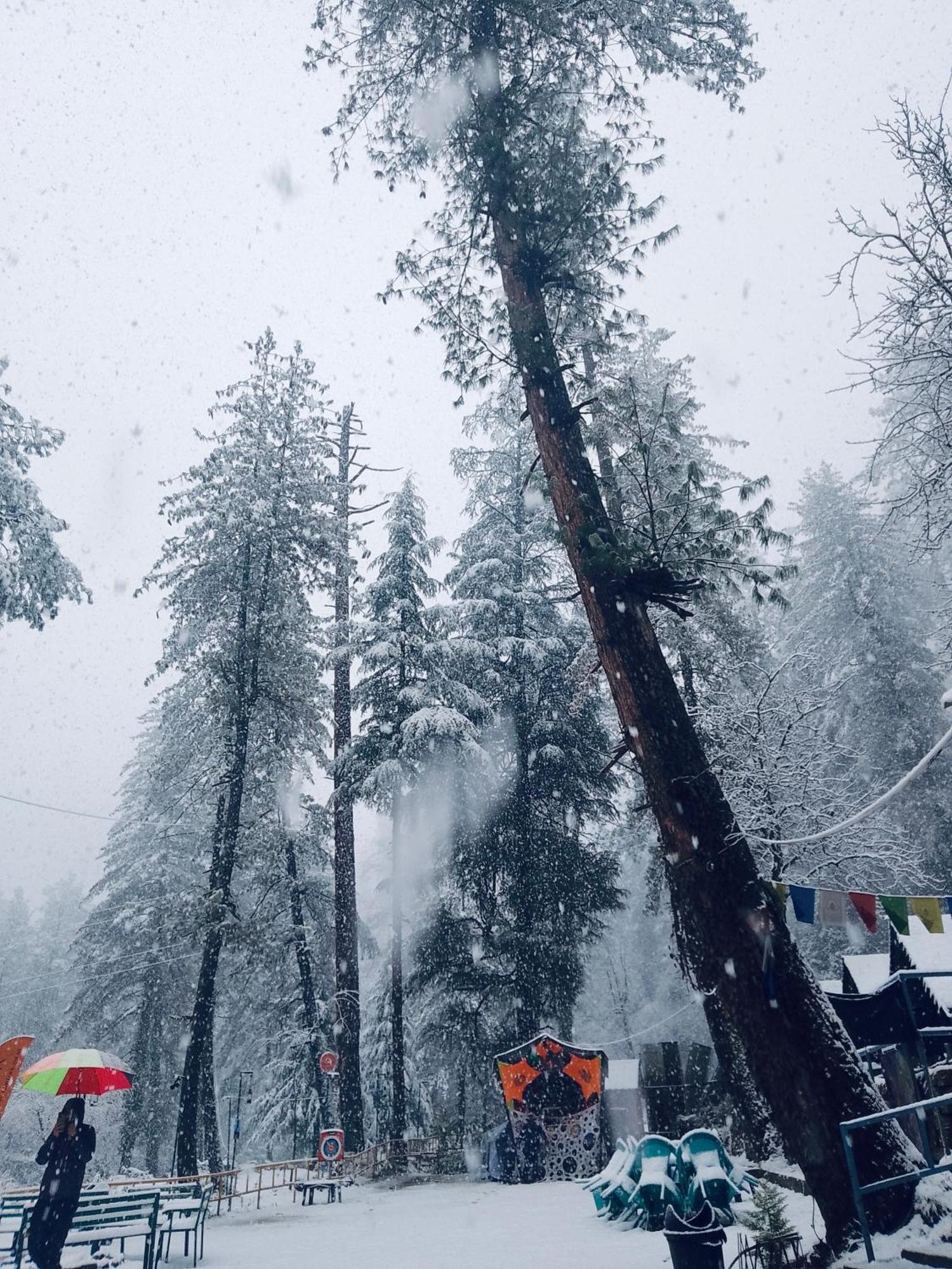 Himtrek Riverside Camps, Kasol Extérieur photo